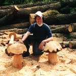 carved  mushrooms